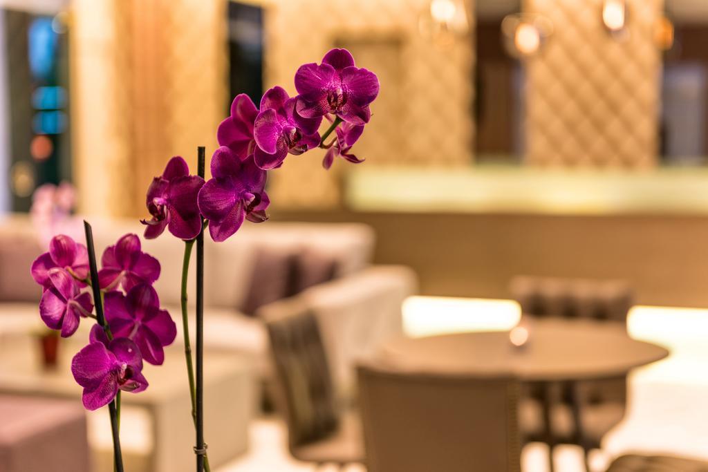 Ariadne Hotel Platanes  Ngoại thất bức ảnh